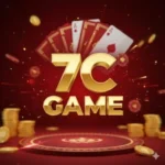 7C Game
