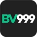 BV999 Game