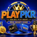 PLAYPKR Game APK Download Latest Version Online Earning App