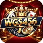WGS456 Game Download Now