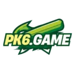 PK6 Game New popular Earning App